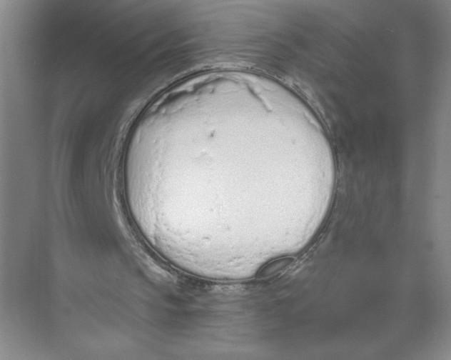 X0000074300145200609222344