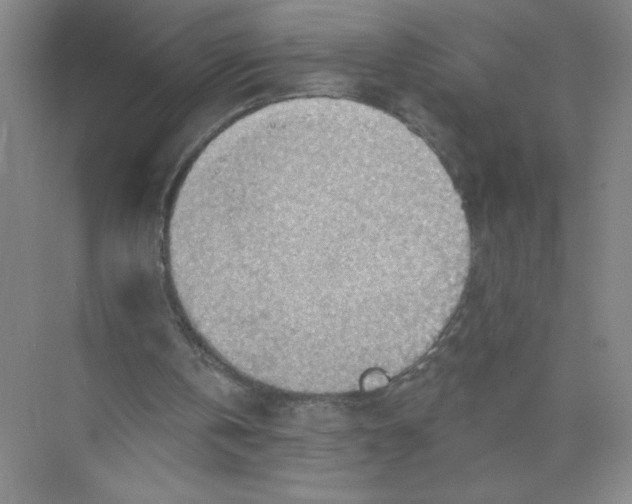 X0000074300146200609222344