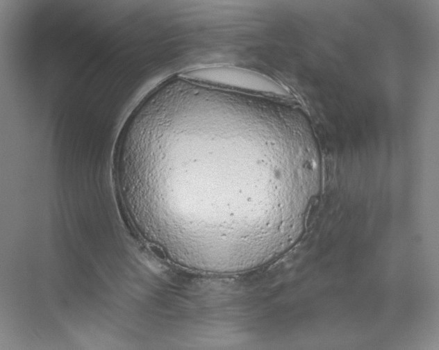 X0000074300147200609222344