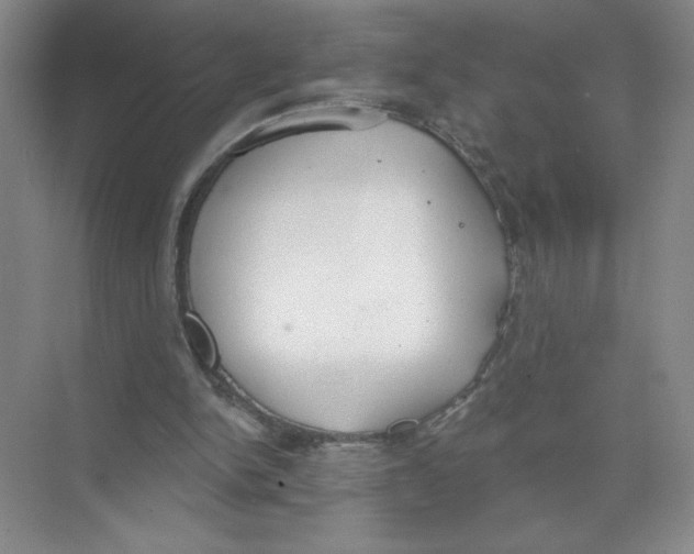 X0000074300150200609222344