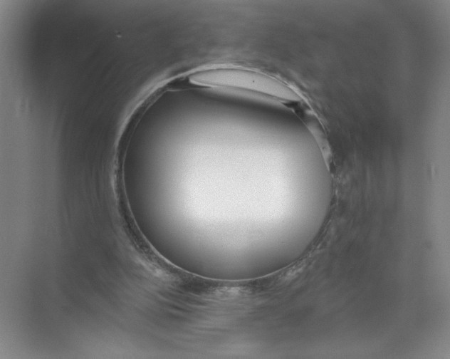 X0000074300152200609222344