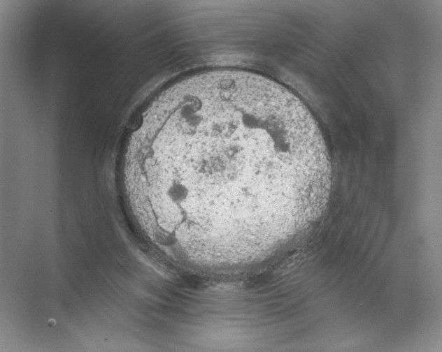 X0000074300155200609222344