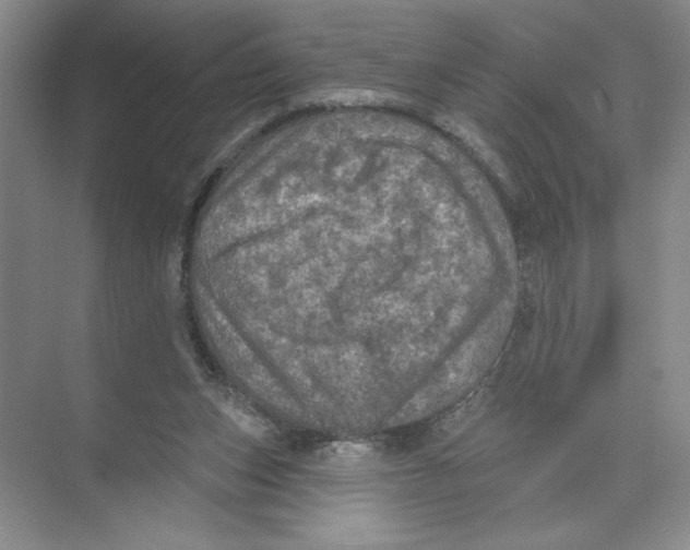 X0000074300159200609222344