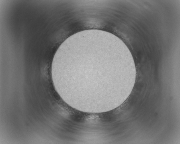 X0000074300162200609222344