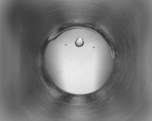 X0000074300164200609222344