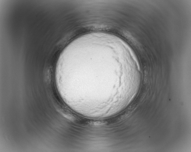 X0000074300165200609222344