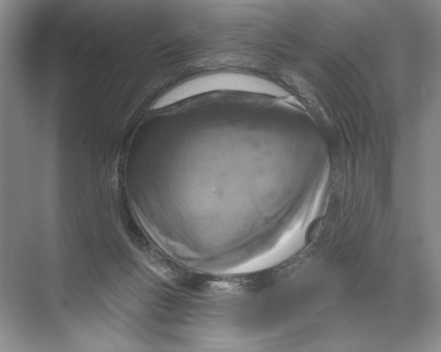 X0000074300167200609222344