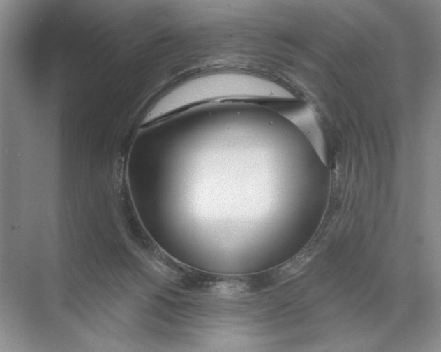 X0000074300168200609222344