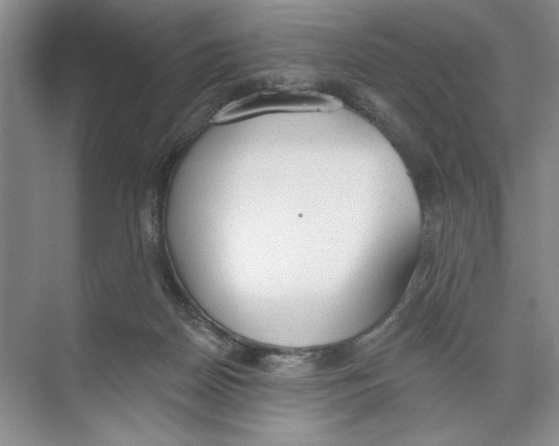 X0000074300170200609222344