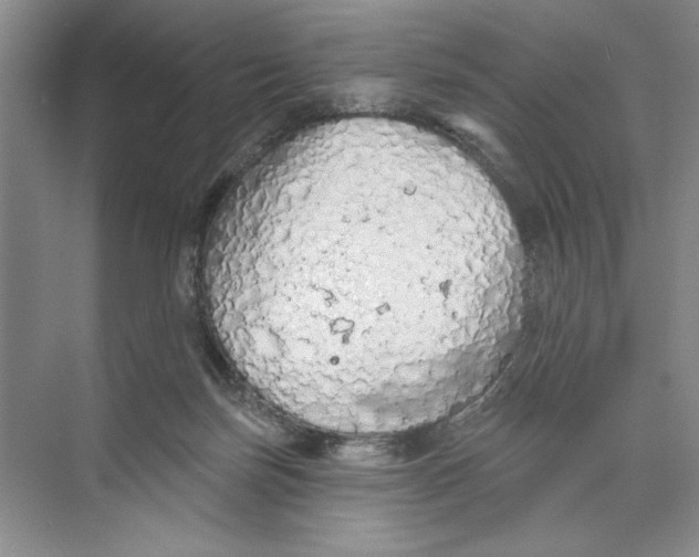 X0000074300171200609222344