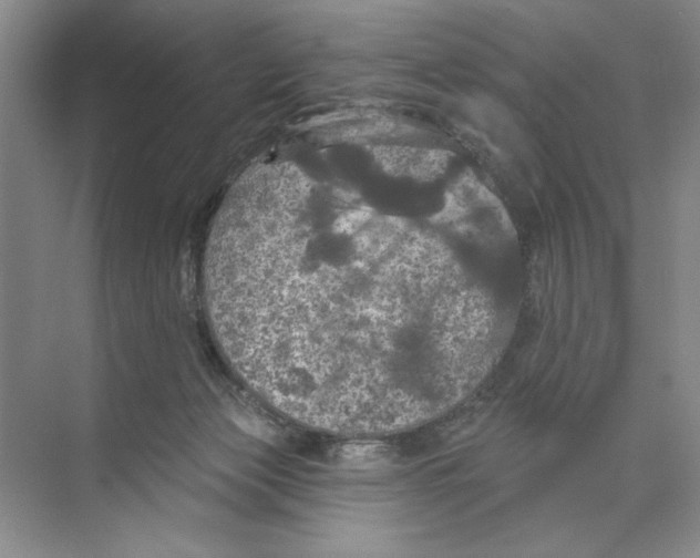 X0000074300173200609222344