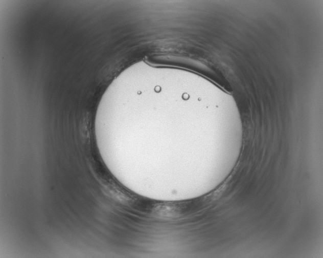 X0000074300174200609222344