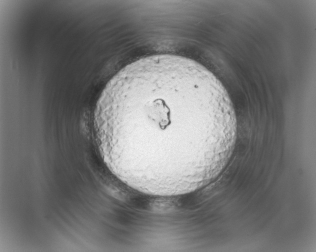 X0000074300175200609222344