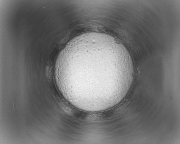 X0000074300177200609222344