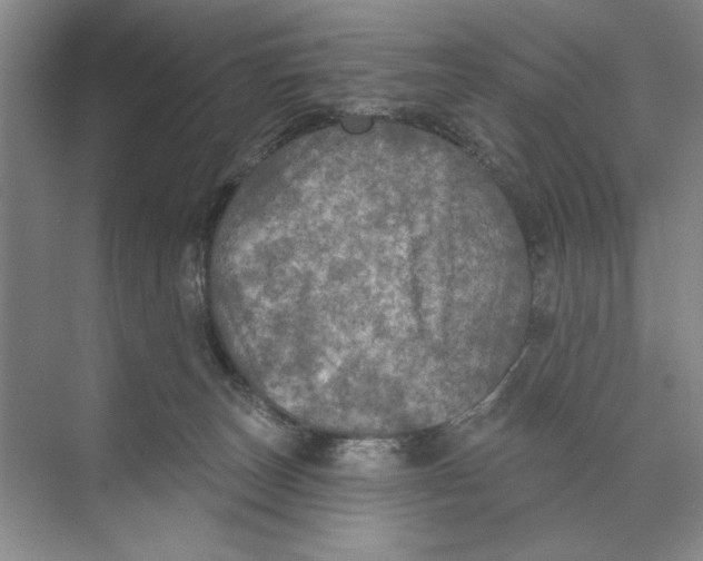 X0000074300179200609222344