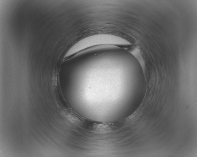 X0000074300180200609222344