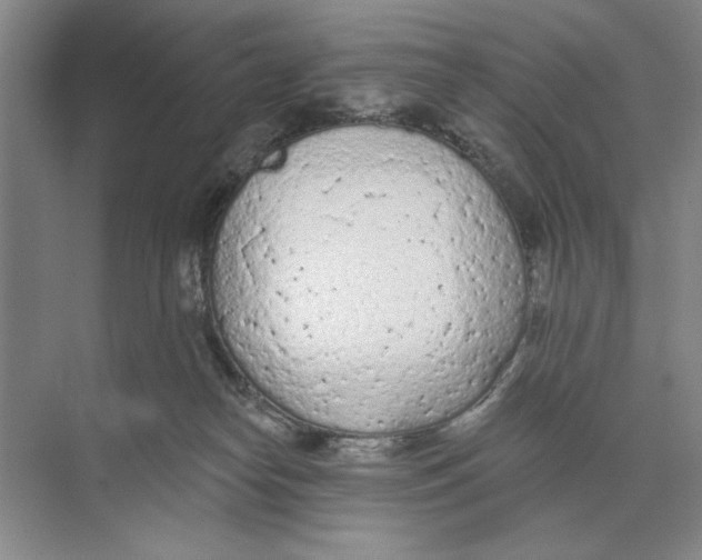 X0000074300182200609222344