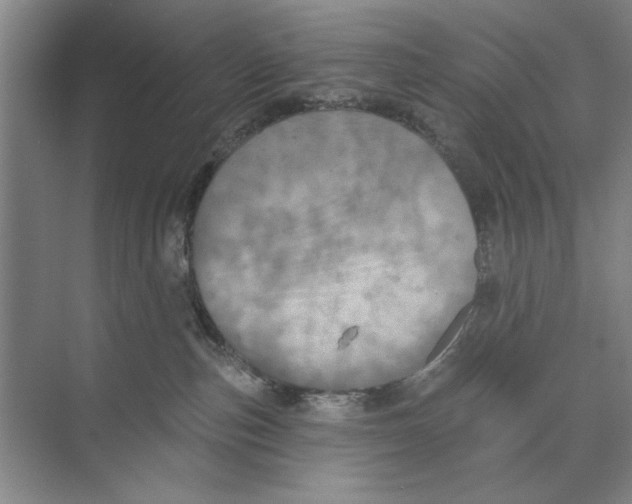 X0000074300187200609222344