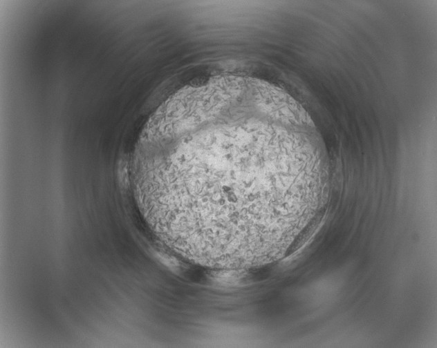 X0000074300191200609222344