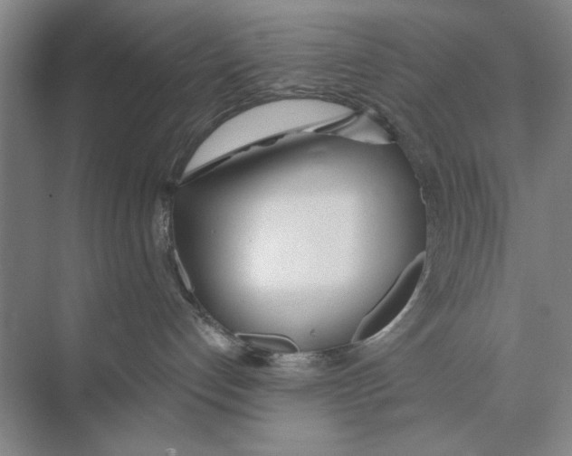 X0000074300192200609222344