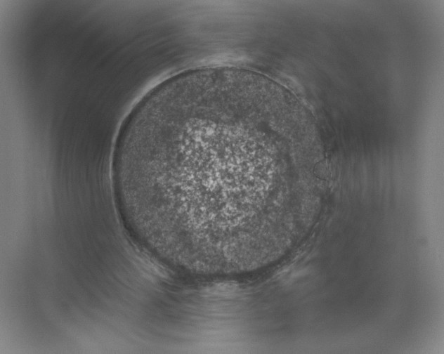 X0000074300196200609222343