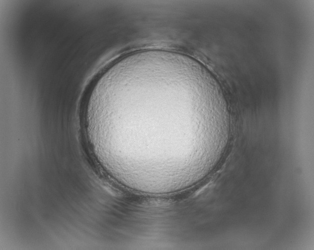 X0000074300198200609222343