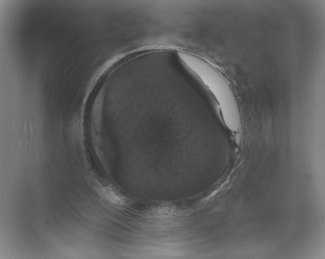 X0000074300200200609222343