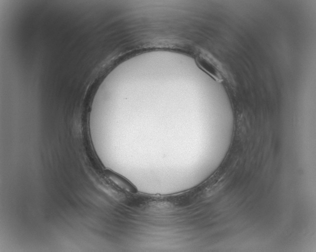 X0000074300203200609222343