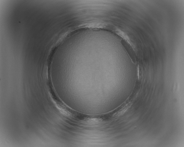 X0000074300205200609222343