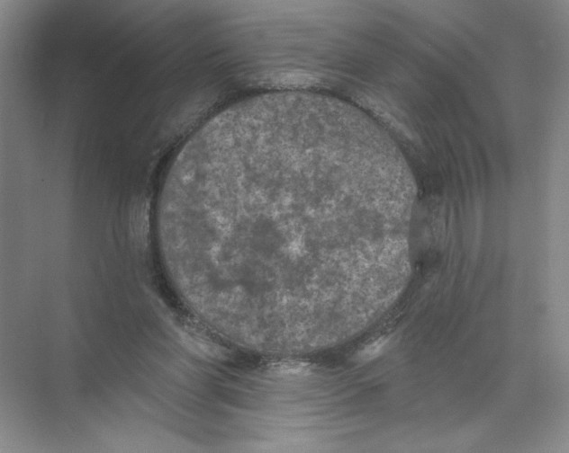 X0000074300206200609222343