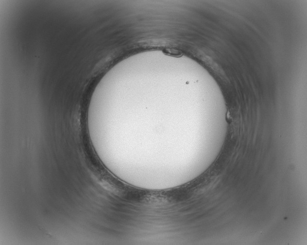 X0000074300207200609222343