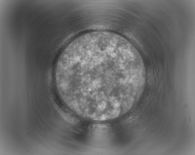 X0000074300208200609222343