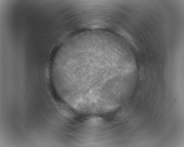 X0000074300210200609222343