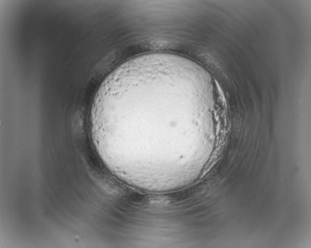 X0000074300214200609222343