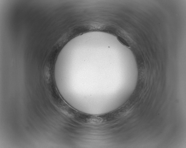 X0000074300215200609222343