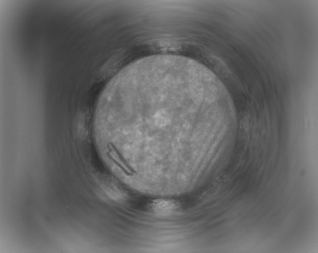 X0000074300218200609222343