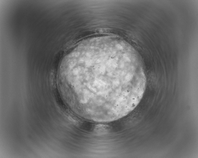 X0000074300222200609222343