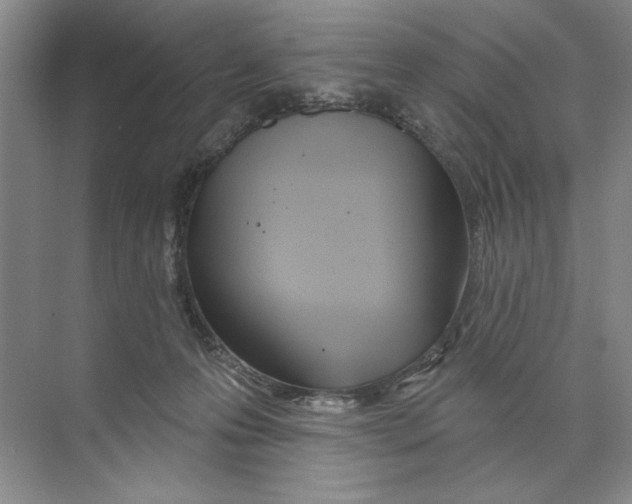 X0000074300223200609222343