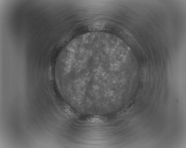 X0000074300224200609222343