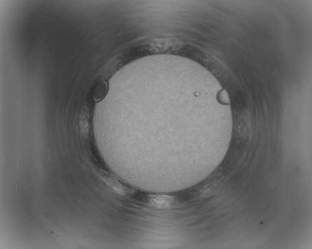 X0000074300226200609222343