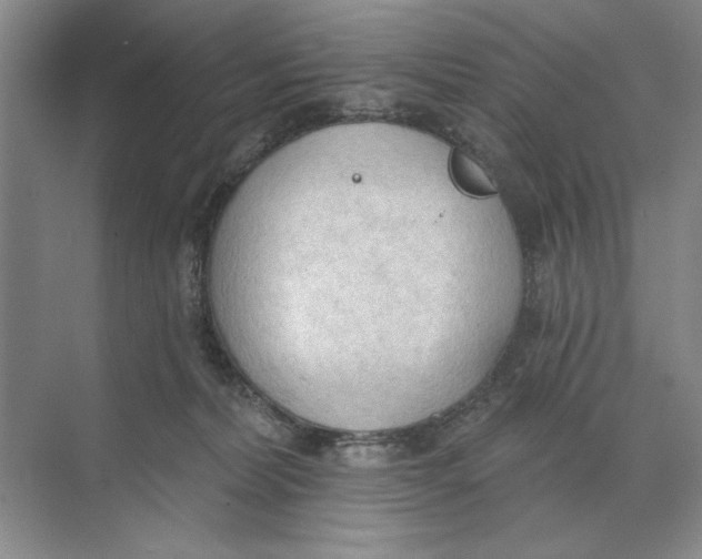 X0000074300228200609222343