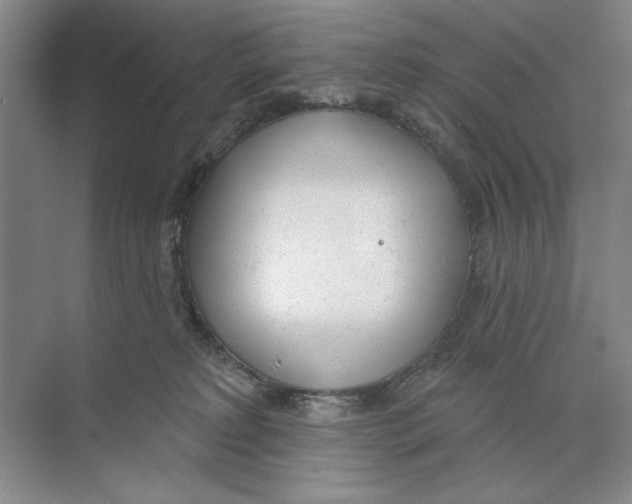 X0000074300229200609222343