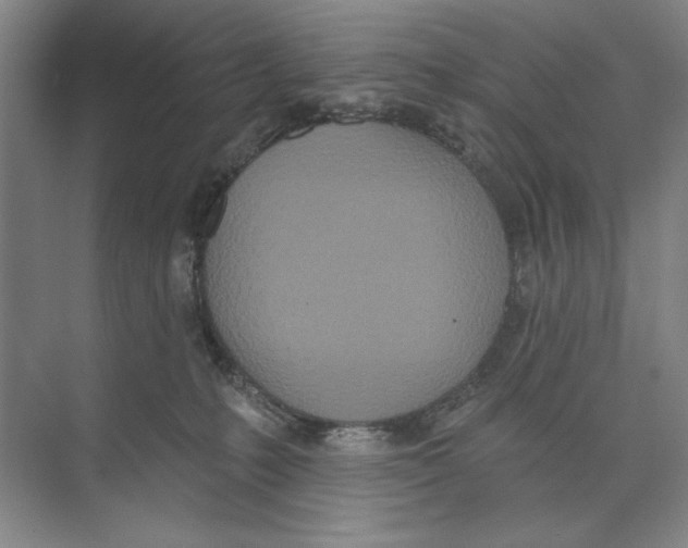 X0000074300231200609222343