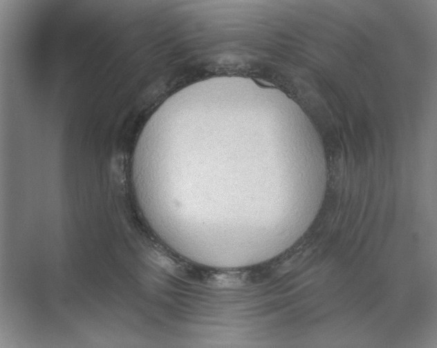 X0000074300232200609222343