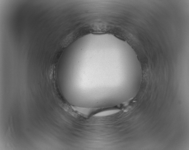 X0000074300233200609222343