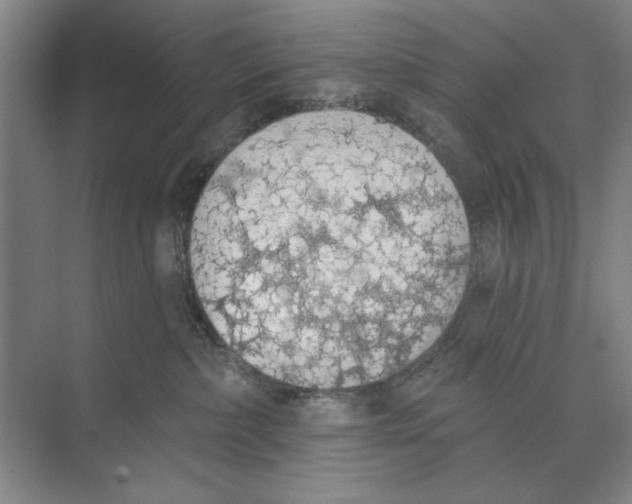 X0000074300236200609222343