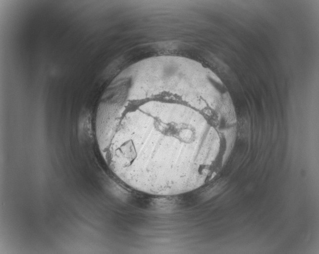 X0000074300238200609222343