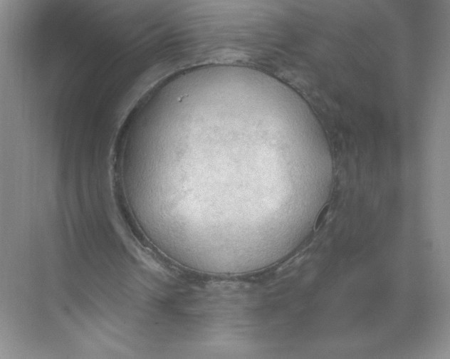 X0000074300242200609222342