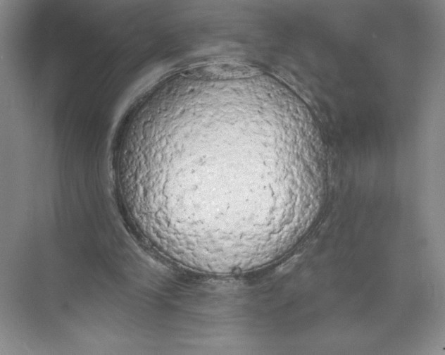 X0000074300245200609222342