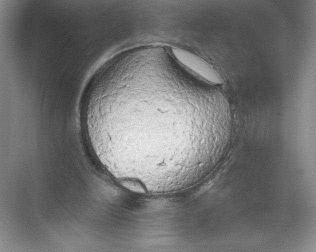 X0000074300246200609222342